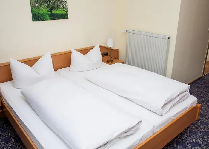 Hotel Gasthof Zur Behringersmuhle *